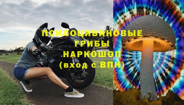 mix Бородино